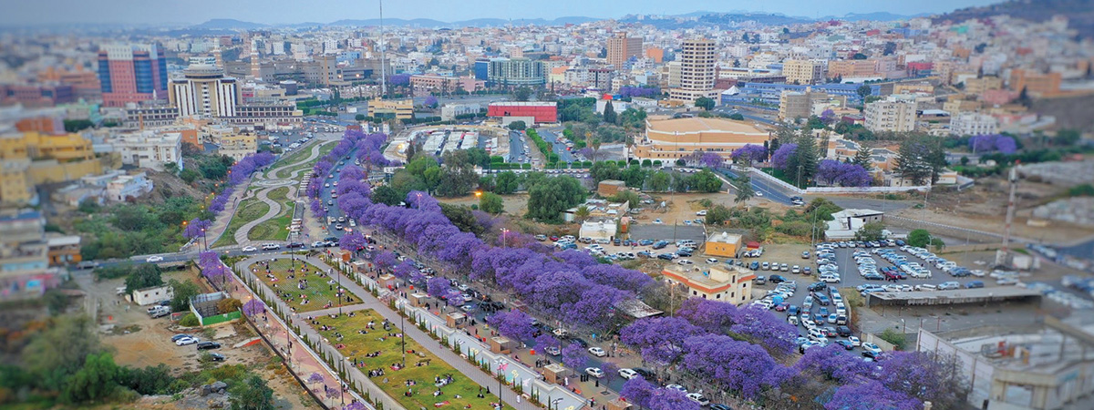 شركة ستيدي بيس الاستشارية 